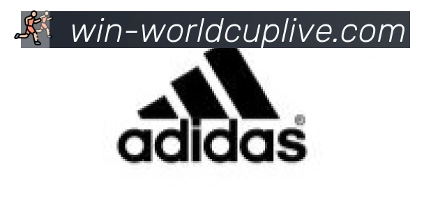 世界杯外围投注入口合作伙伴